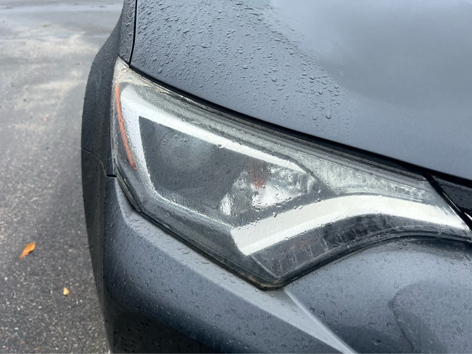 2016 Toyota RAV4 XLE - Photo 2