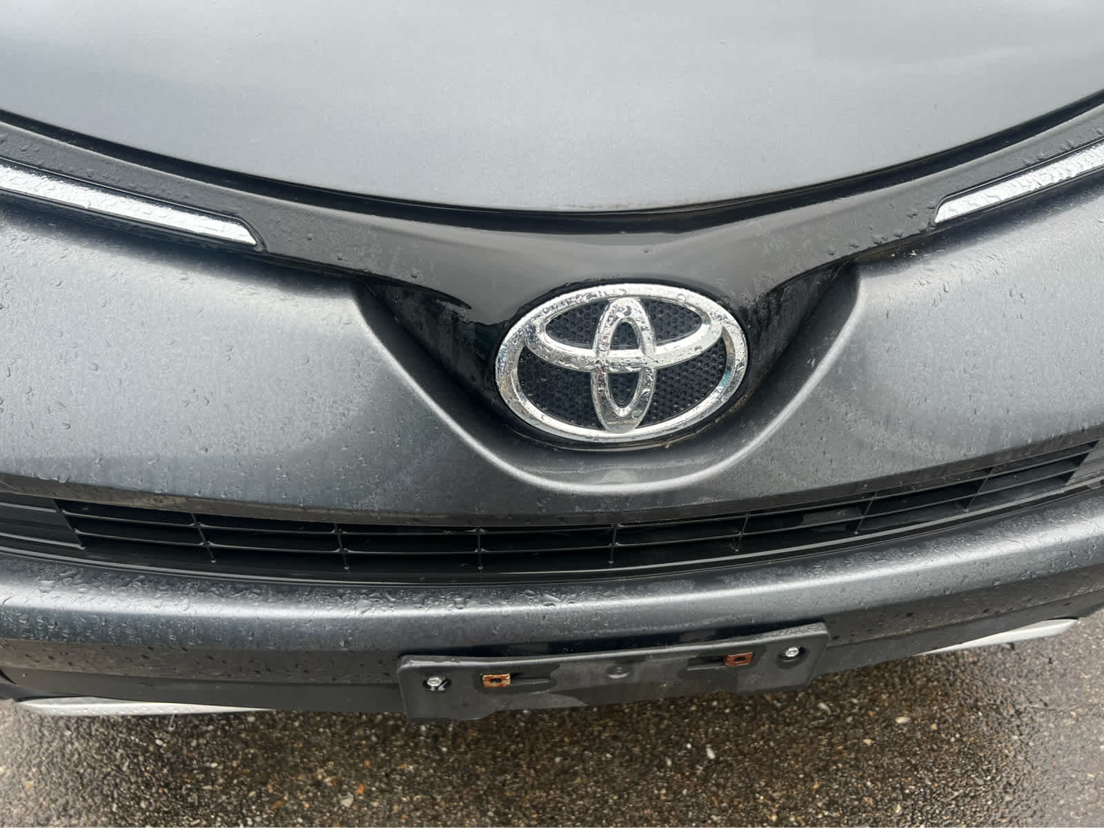 2016 Toyota RAV4 XLE - Photo 4