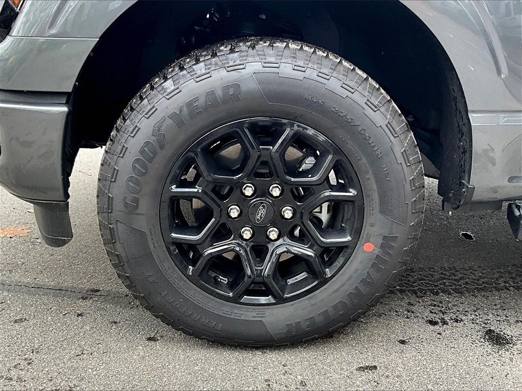 2025 Ford F-150 XLT - Photo 12