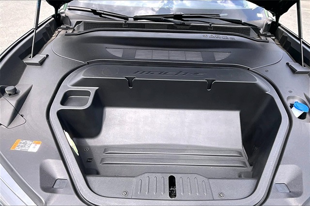 2025 Ford Mustang Mach-E Premium - Photo 12