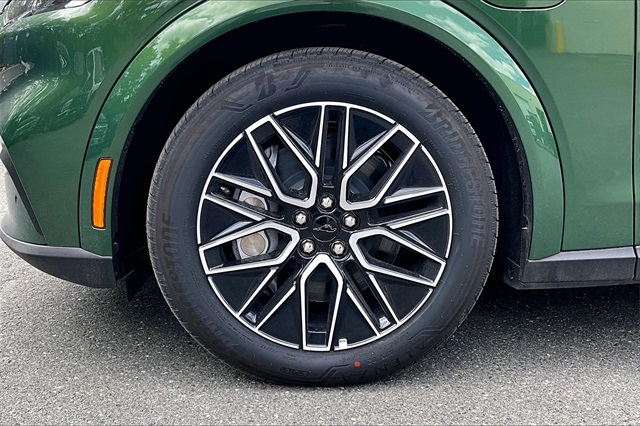 2025 Ford Mustang Mach-E Premium - Photo 13