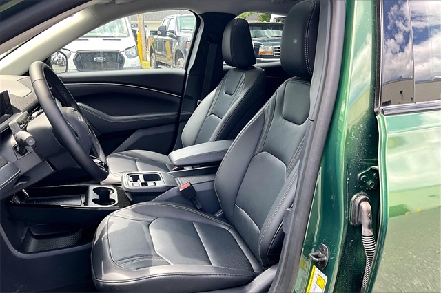 2025 Ford Mustang Mach-E Premium - Photo 10