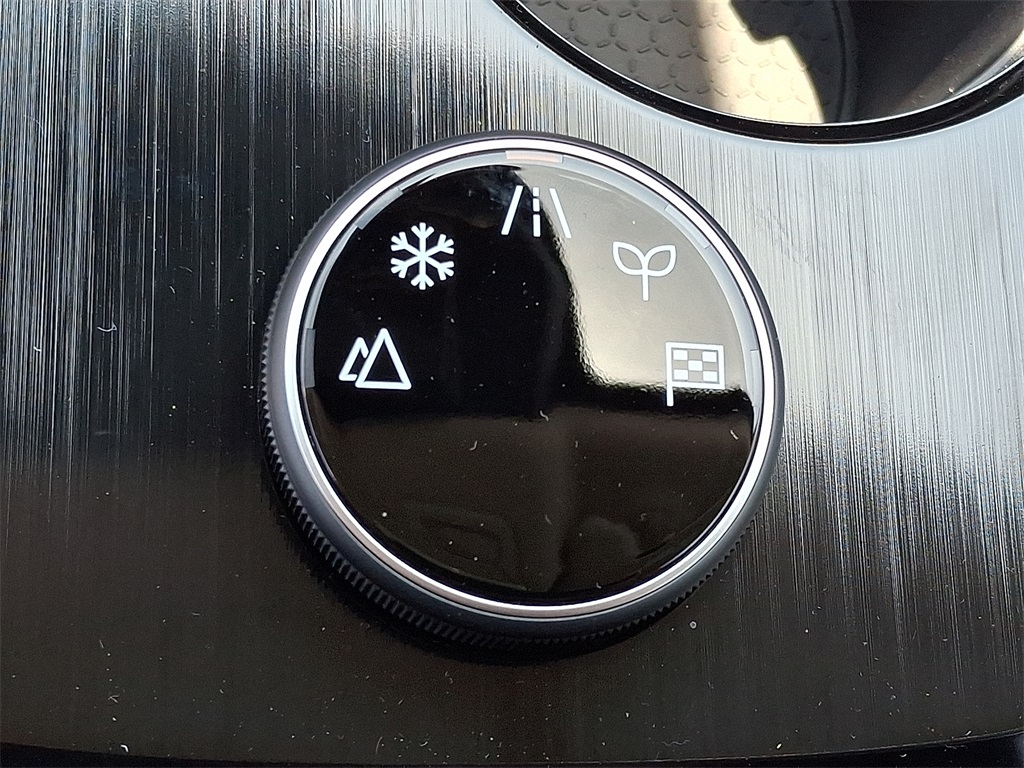 2025 Nissan Rogue SV - Photo 16
