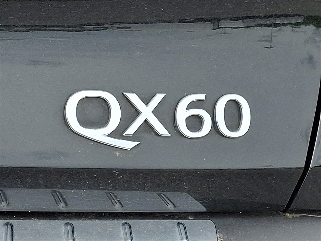 2023 INFINITI QX60 LUXE - Photo 10