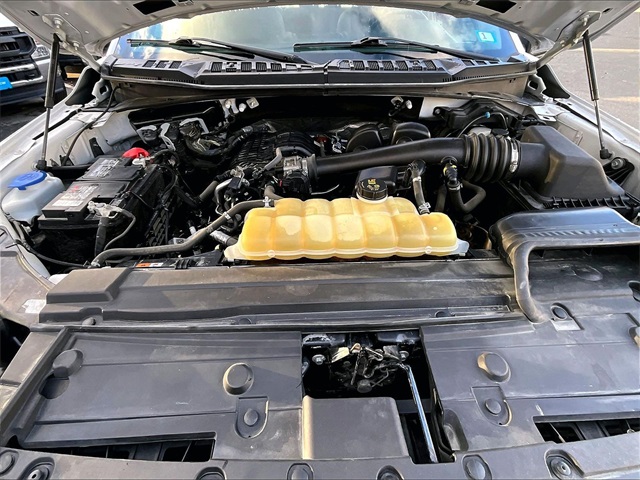 2019 Ford F-150 XL - Photo 10