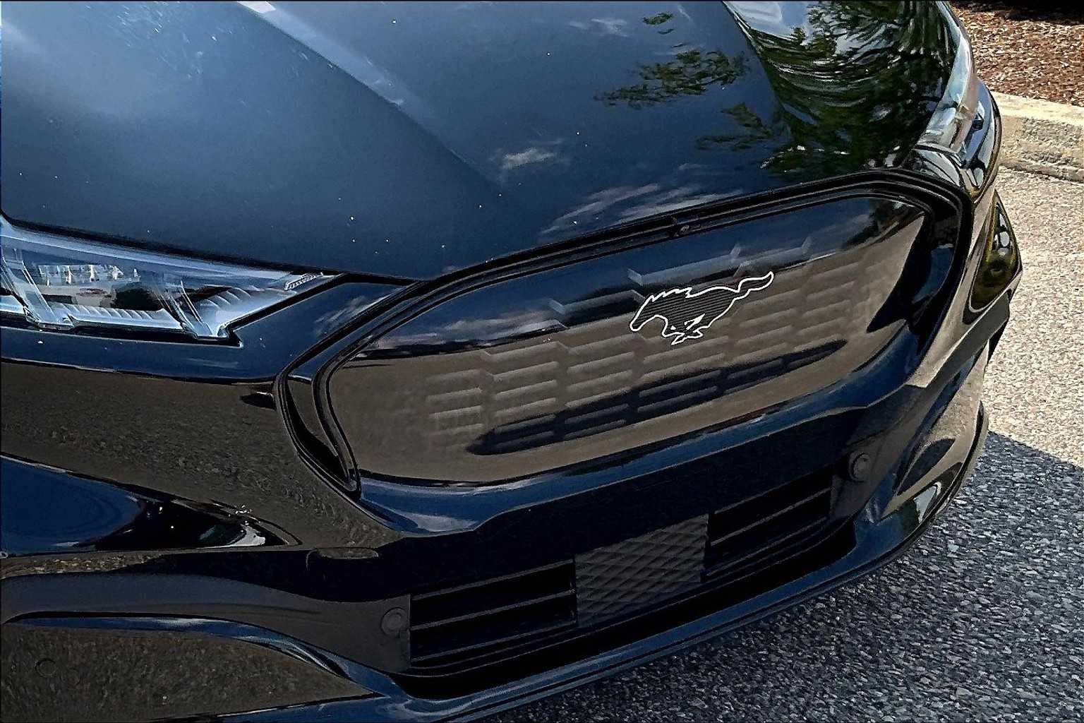 2021 Ford Mustang Mach-E Premium - Photo 30