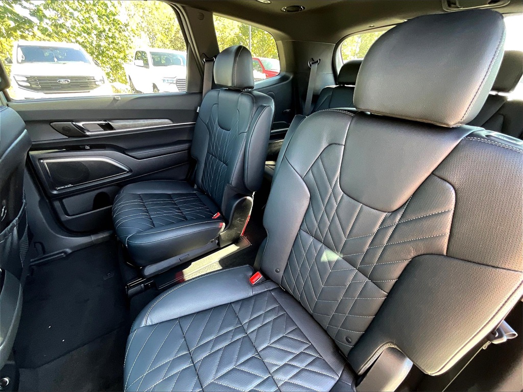 2025 Kia Telluride SX X-Line - Photo 15