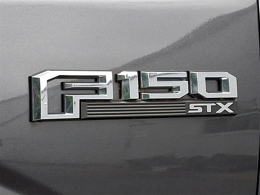 2020 Ford F-150 XL - Photo 8