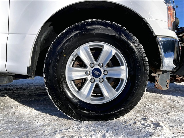 2020 Ford F-150 XL - Photo 9