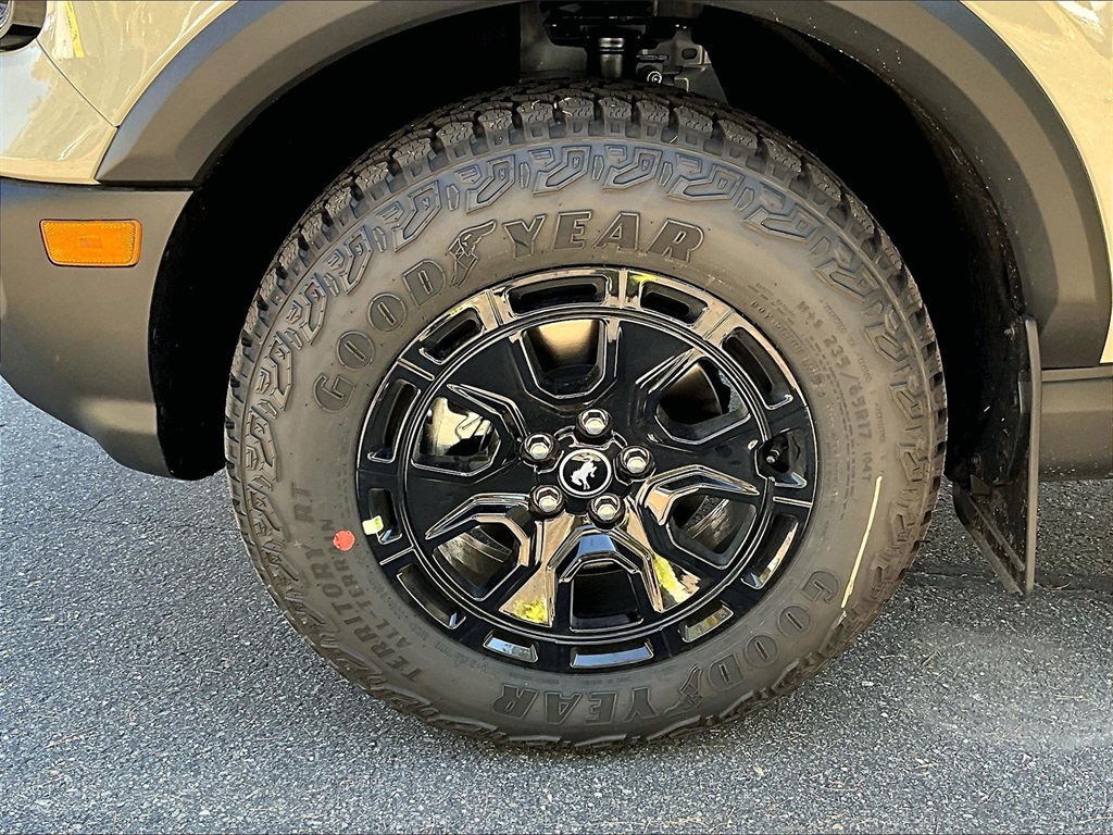 2025 Ford Bronco Sport Badlands - Photo 12