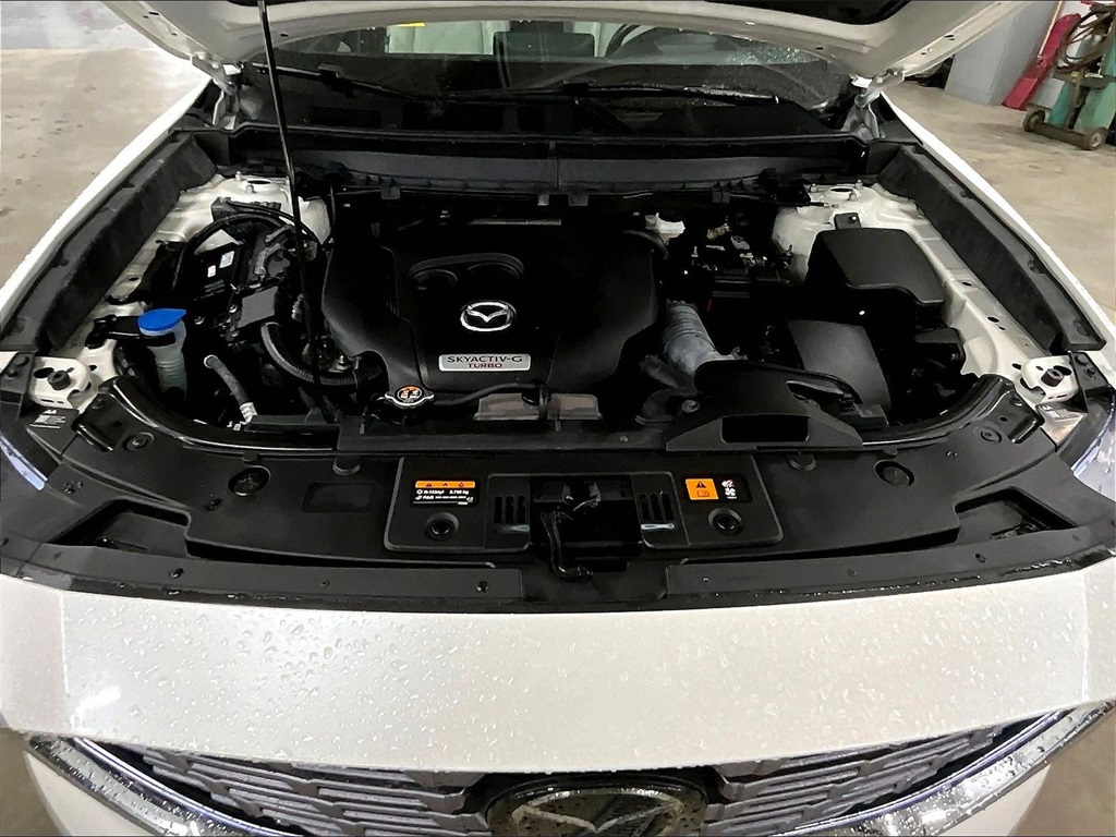 2023 Mazda CX-9 Signature - Photo 29