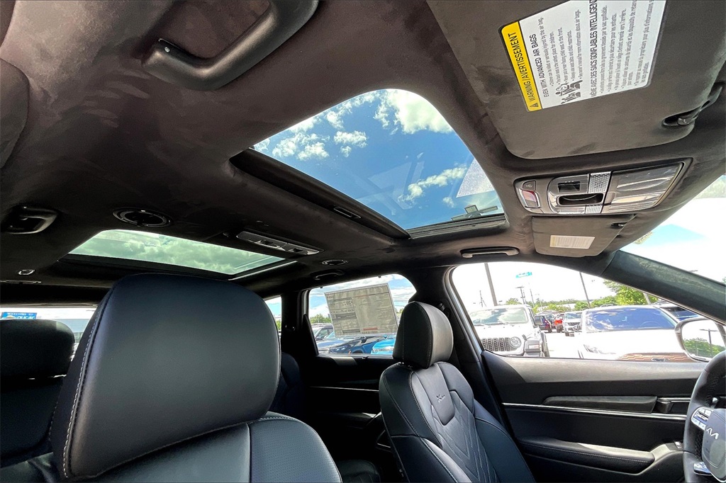 2025 Kia Telluride SX-Prestige X-Pro - Photo 18