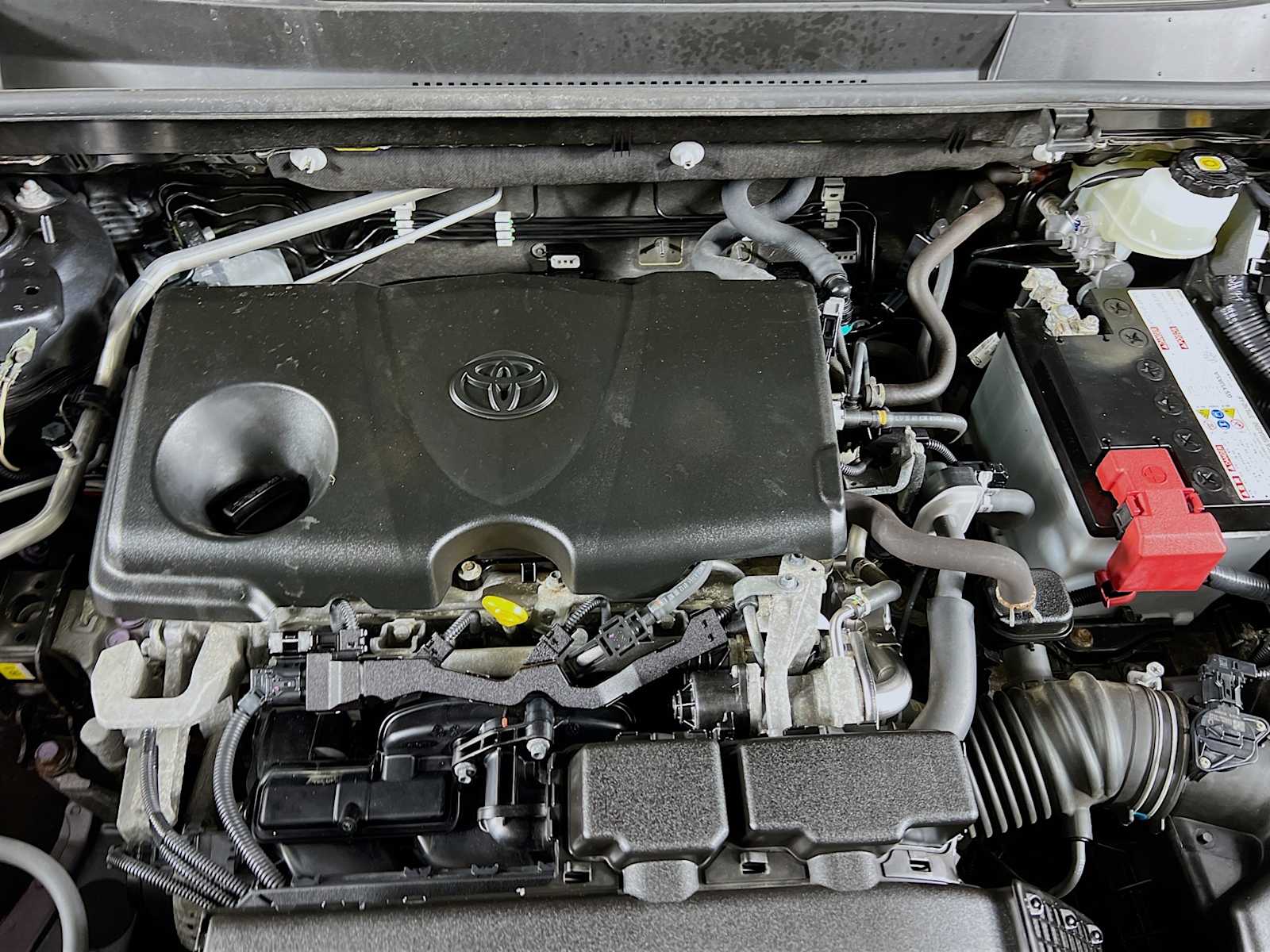 2019 Toyota RAV4 XLE - Photo 30