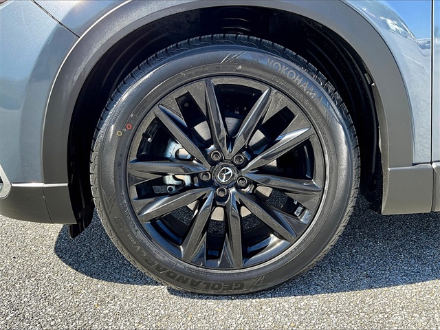 2023 Mazda CX-9 Carbon Edition - Photo 7