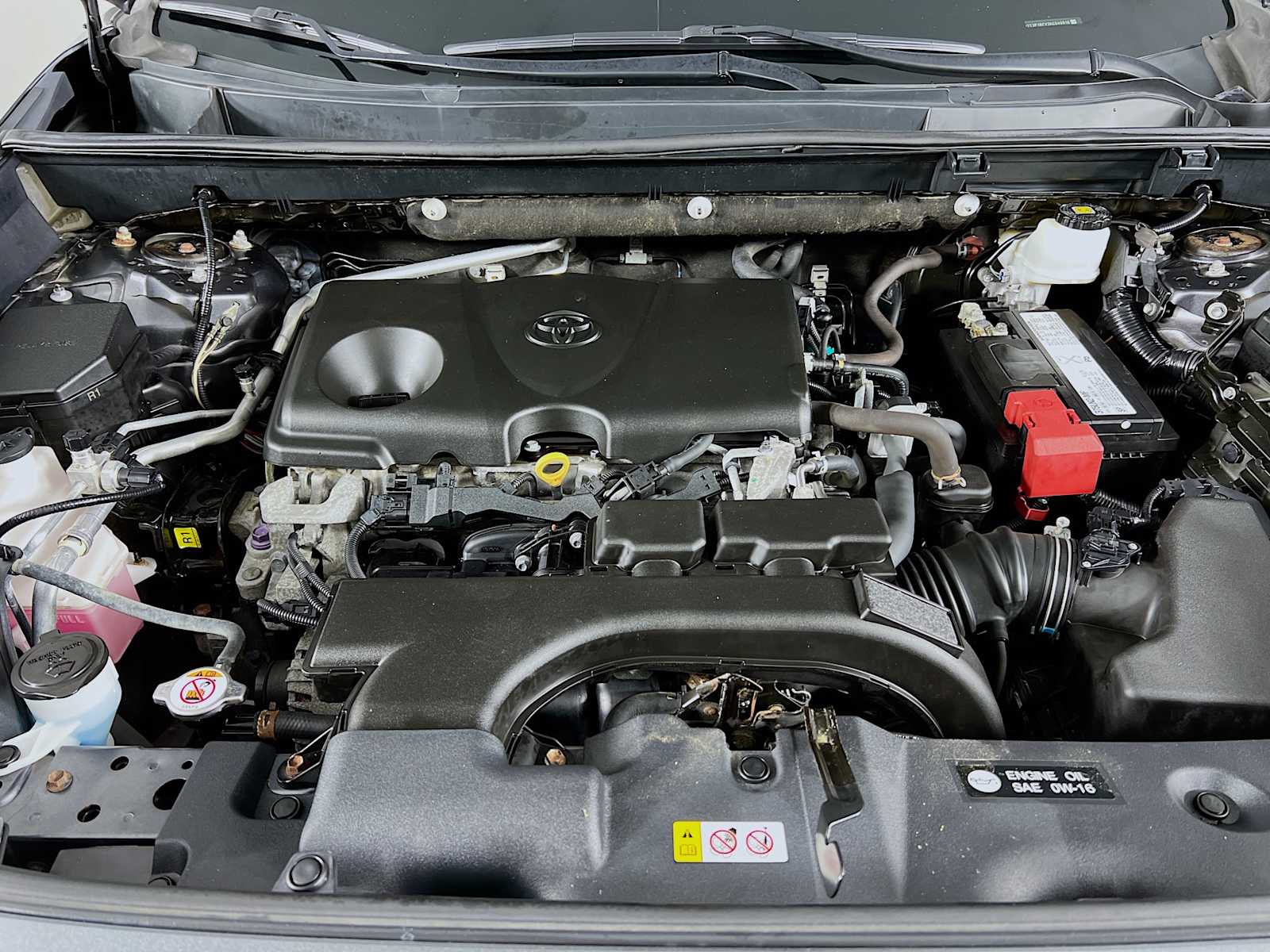 2019 Toyota RAV4 XLE - Photo 31