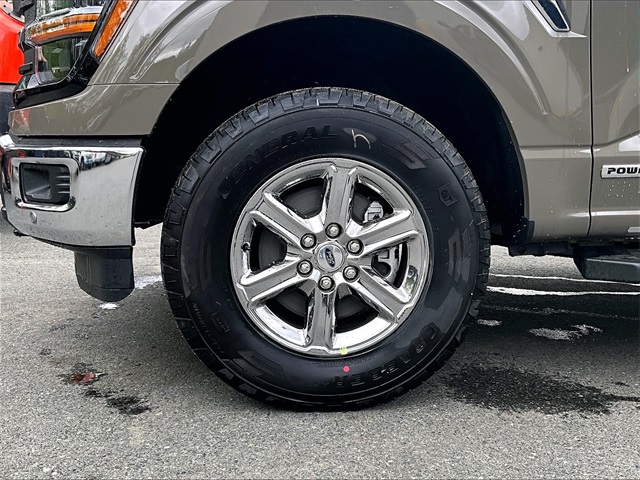 2025 Ford F-150 XLT - Photo 13