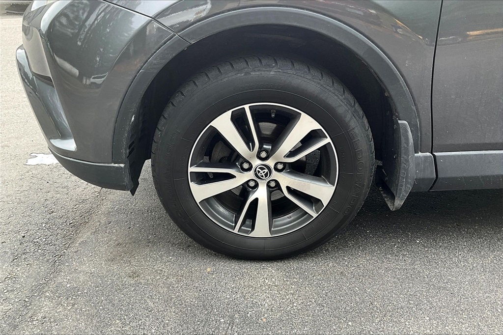 2016 Toyota RAV4 XLE - Photo 4