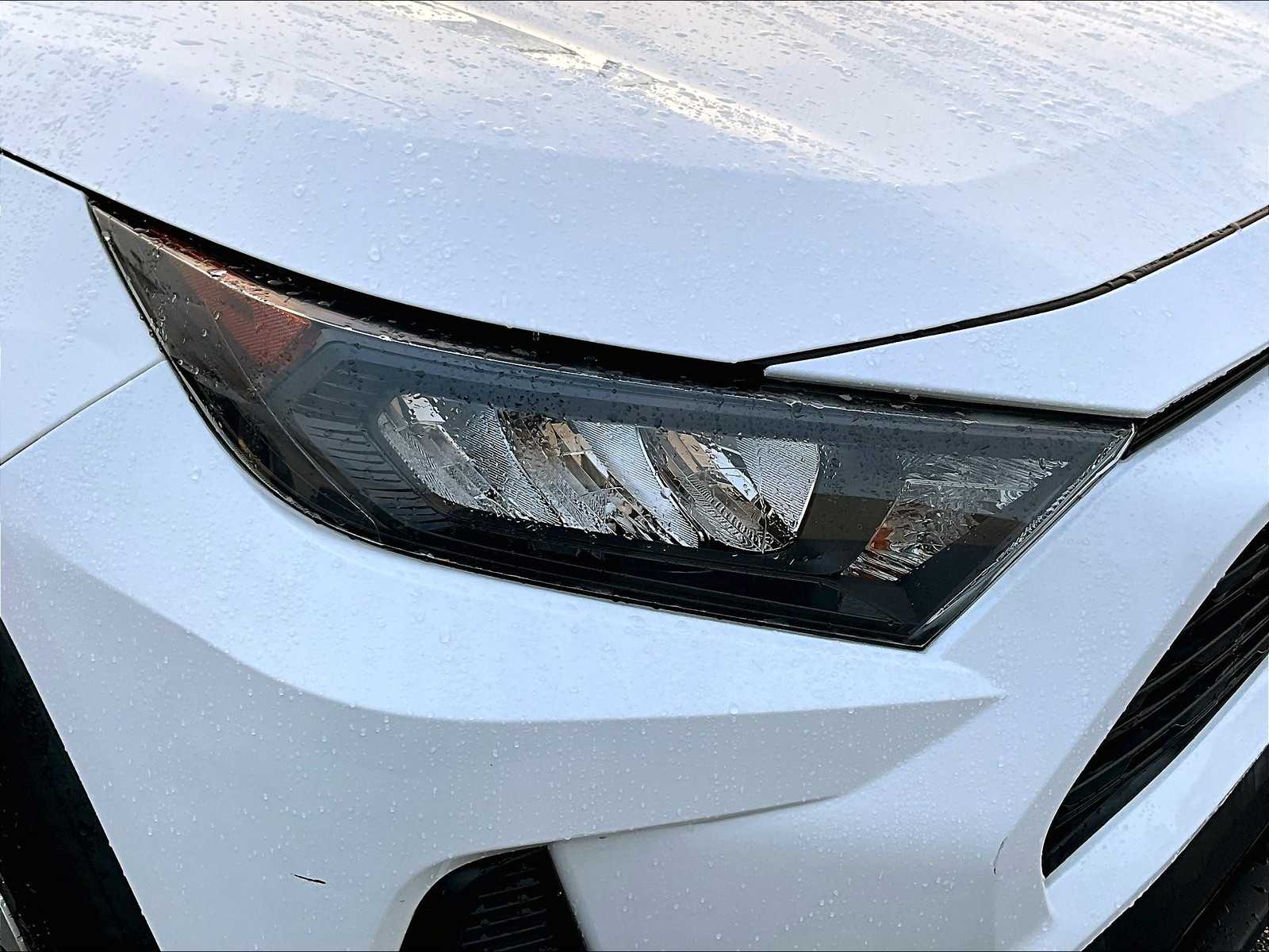 2019 Toyota RAV4 LE - Photo 31