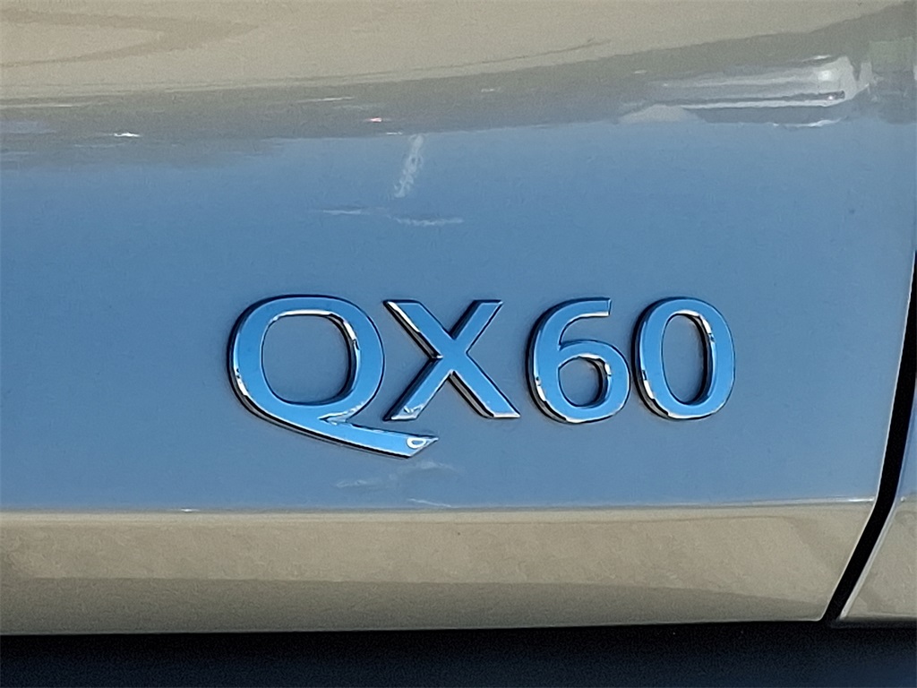 2025 INFINITI QX60 LUXE - Photo 20