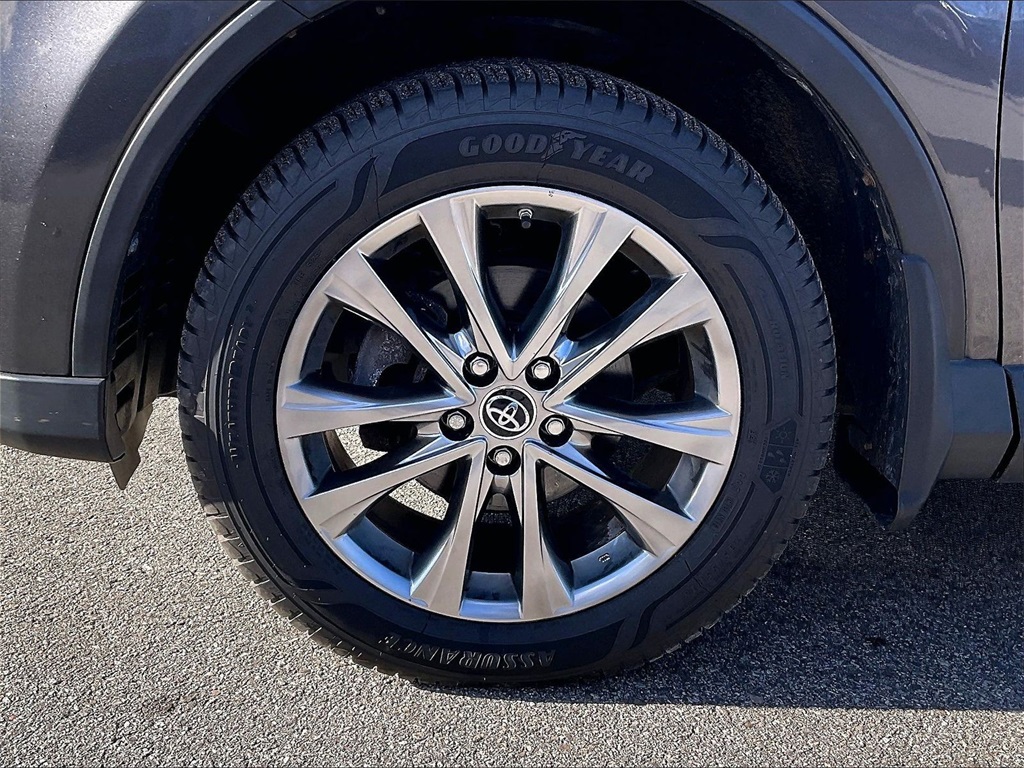 2017 Toyota RAV4 Limited - Photo 7