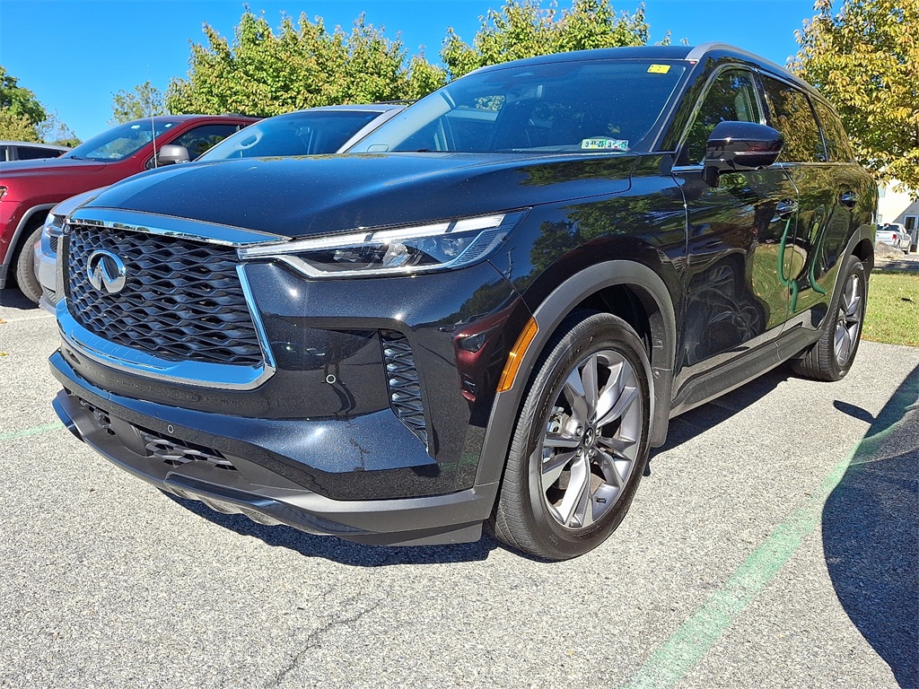 2025 INFINITI QX60 LUXE - Photo 3