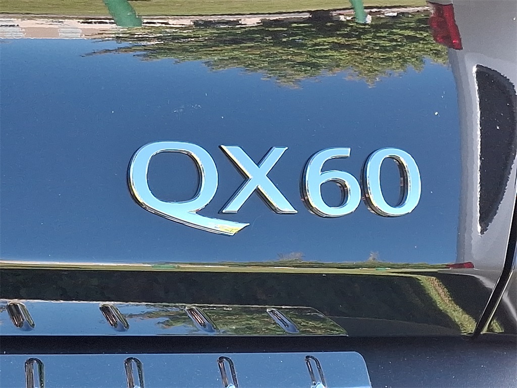 2025 INFINITI QX60 LUXE - Photo 10