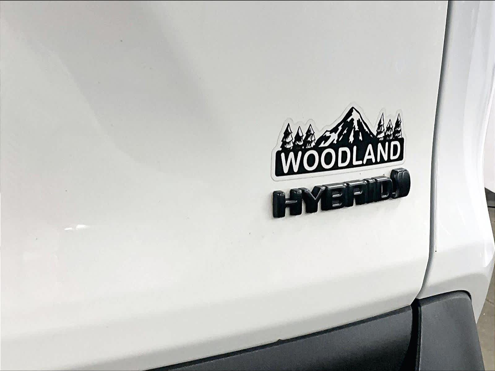 2023 Toyota RAV4 Hybrid Woodland - Photo 28