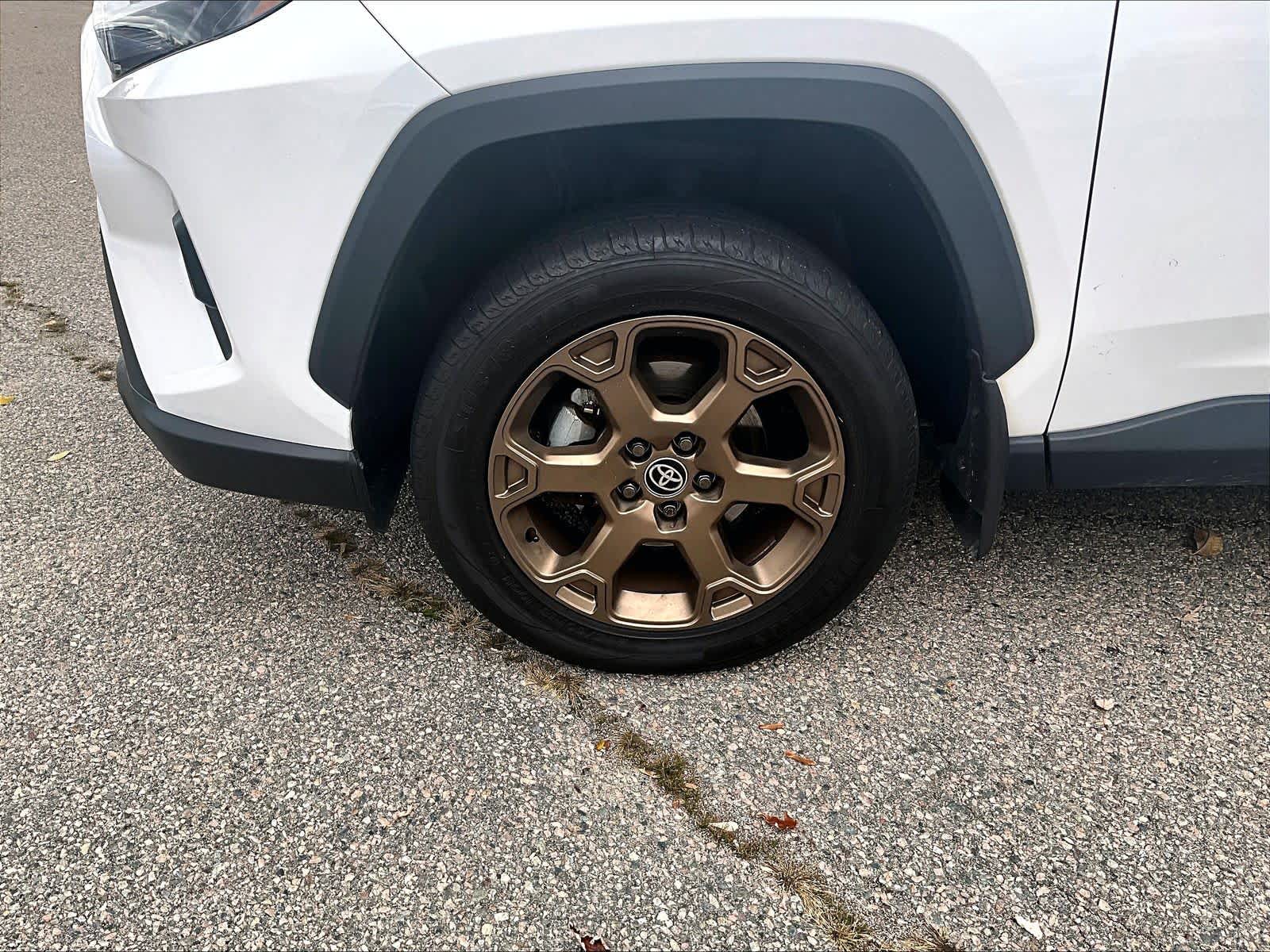 2023 Toyota RAV4 Hybrid Woodland - Photo 4