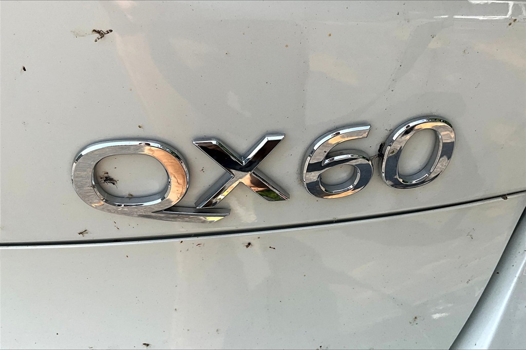 2019 INFINITI QX60 LUXE - Photo 30