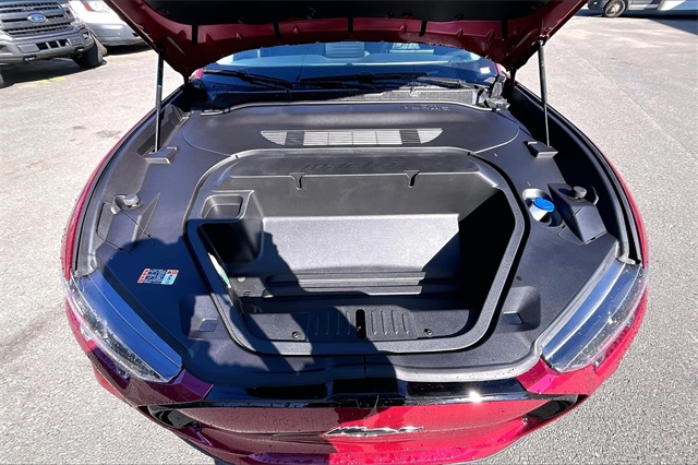 2025 Ford Mustang Mach-E Premium - Photo 12