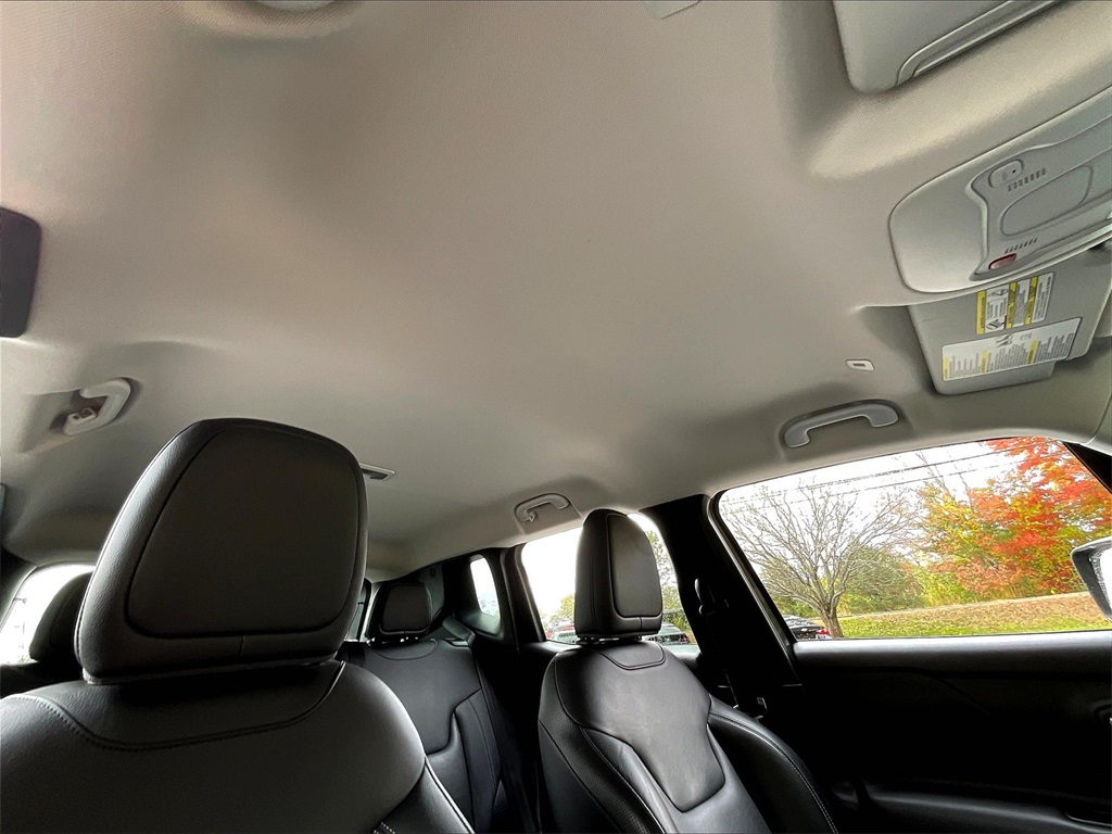 2021 Jeep Renegade Limited - Photo 7