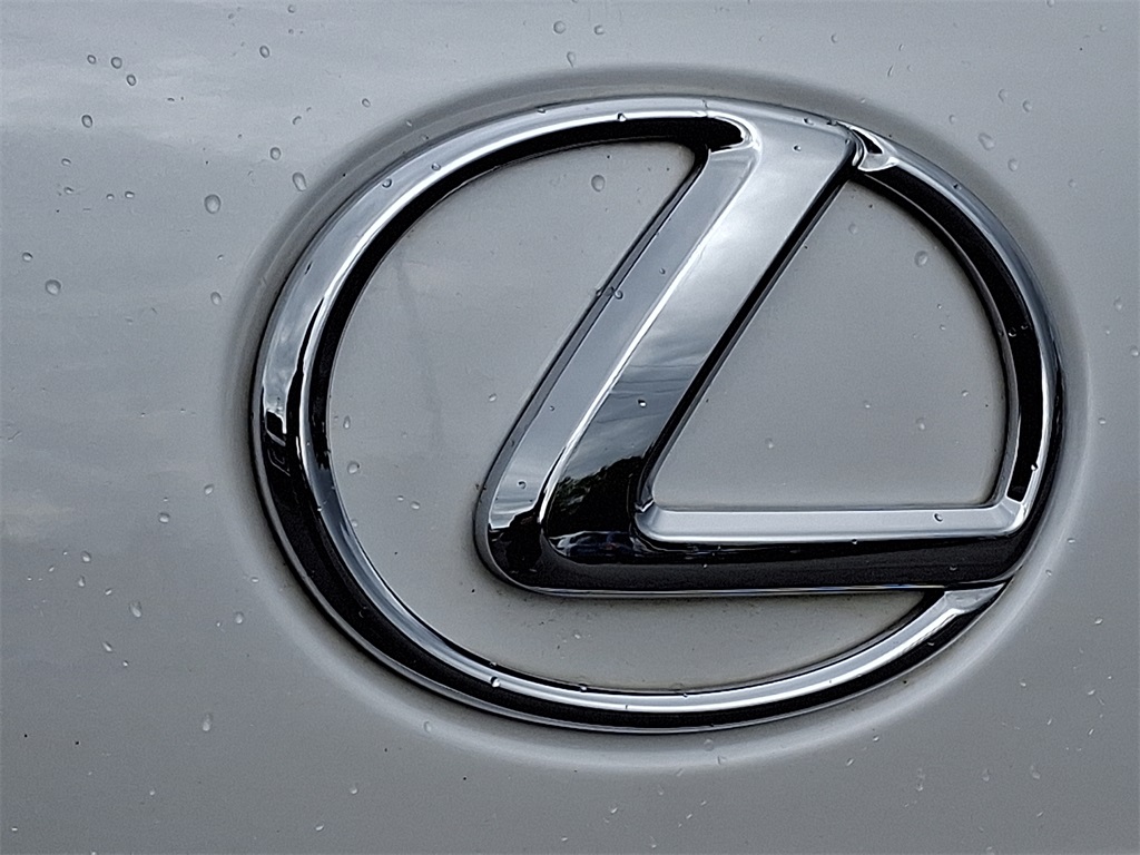 2013 Lexus RX 350 - Photo 29
