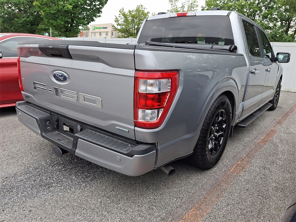 2023 Ford F-150 XL - Photo 6