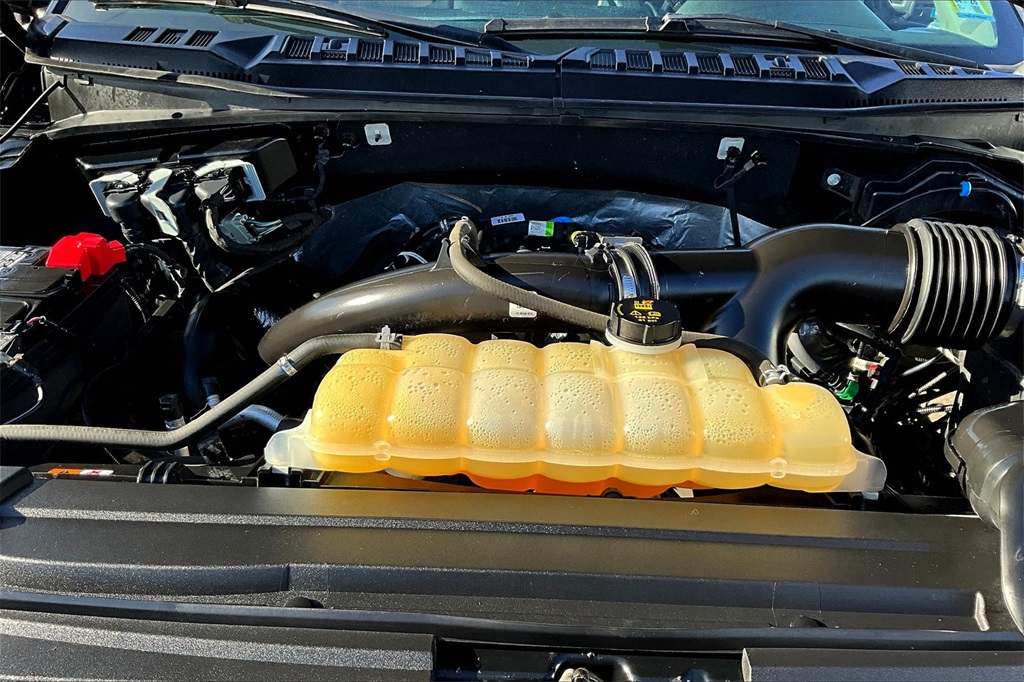2019 Ford F-150 XL - Photo 35