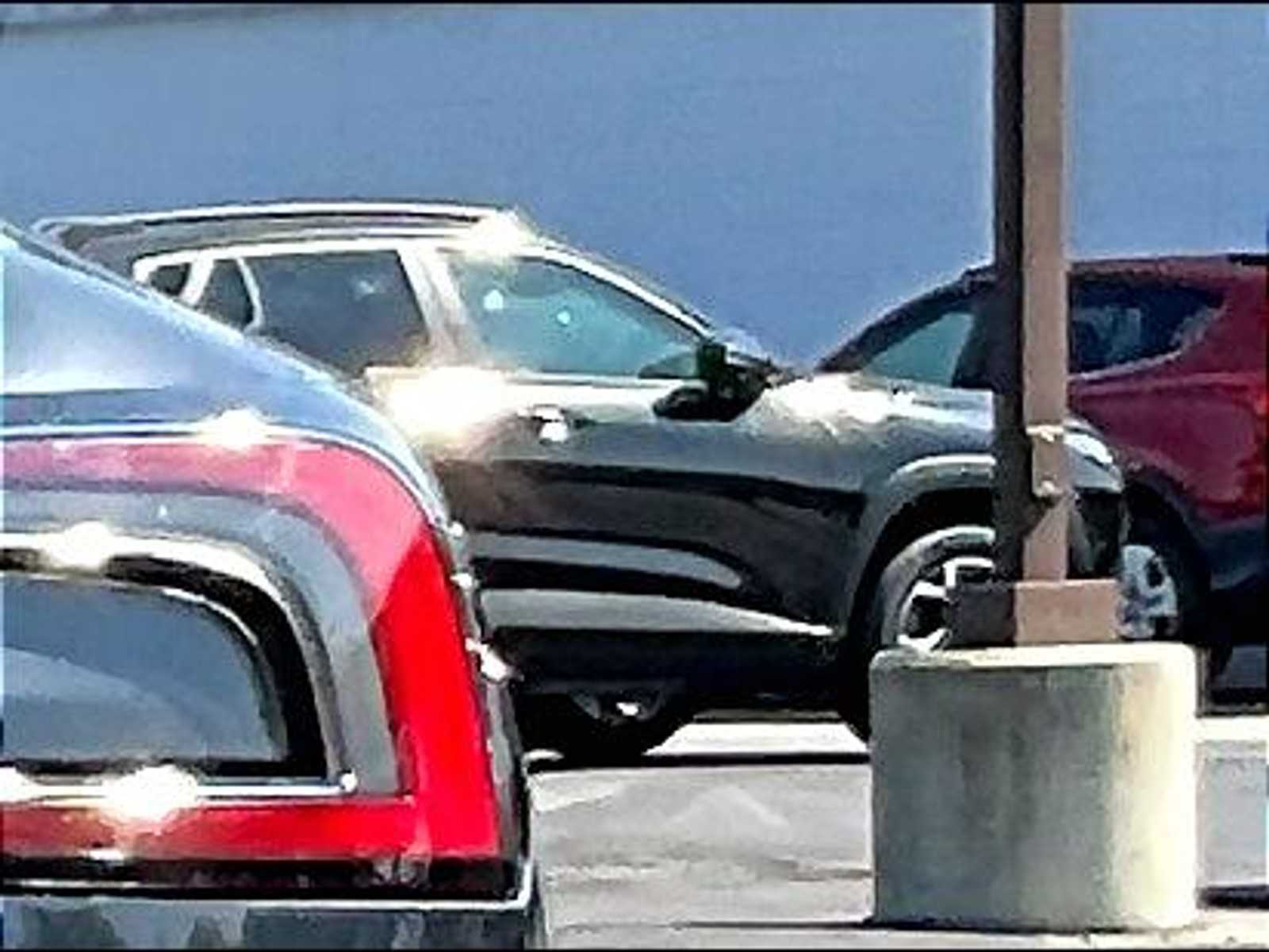 2024 Tesla Model 3  - Photo 5