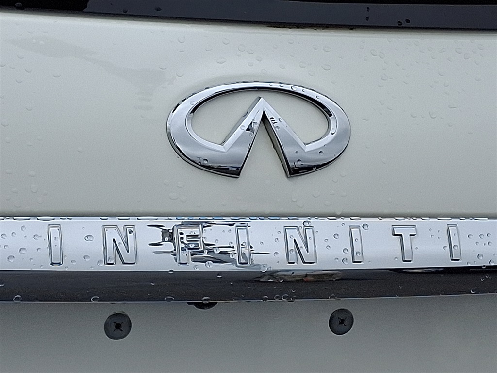 2019 INFINITI QX60 LUXE - Photo 29
