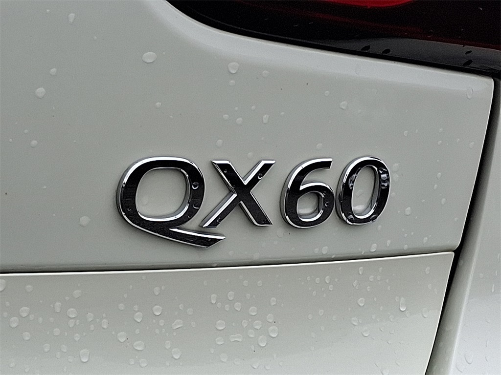 2019 INFINITI QX60 LUXE - Photo 30