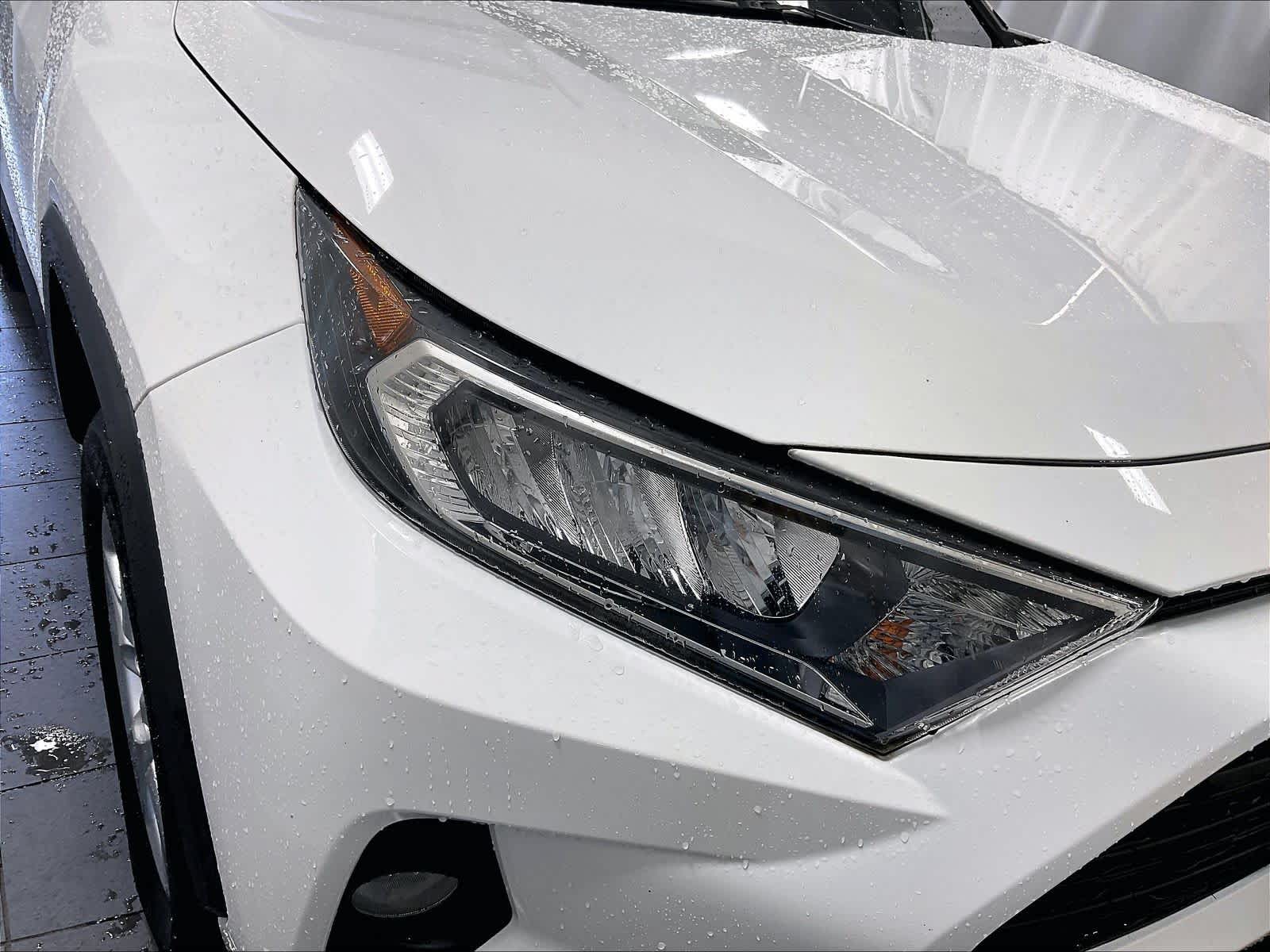 2019 Toyota RAV4 XLE - Photo 33