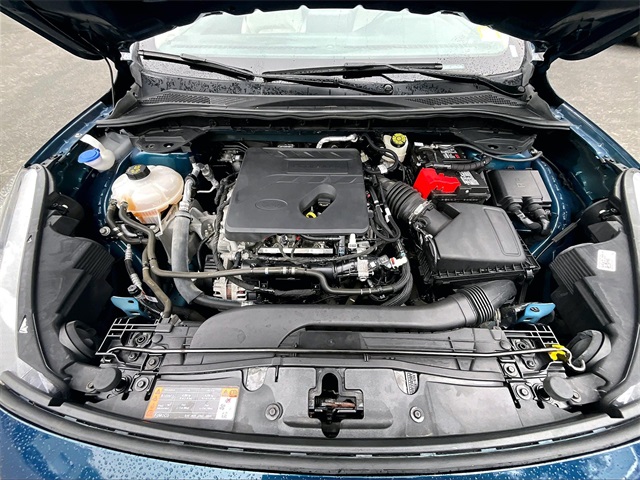 2020 Ford Escape SEL - Photo 10