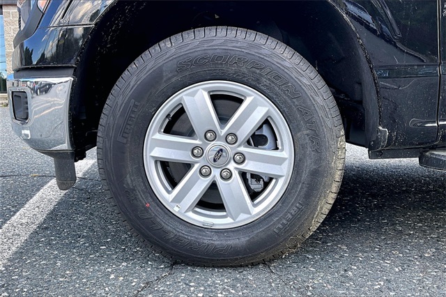 2025 Ford F-150 XL - Photo 12