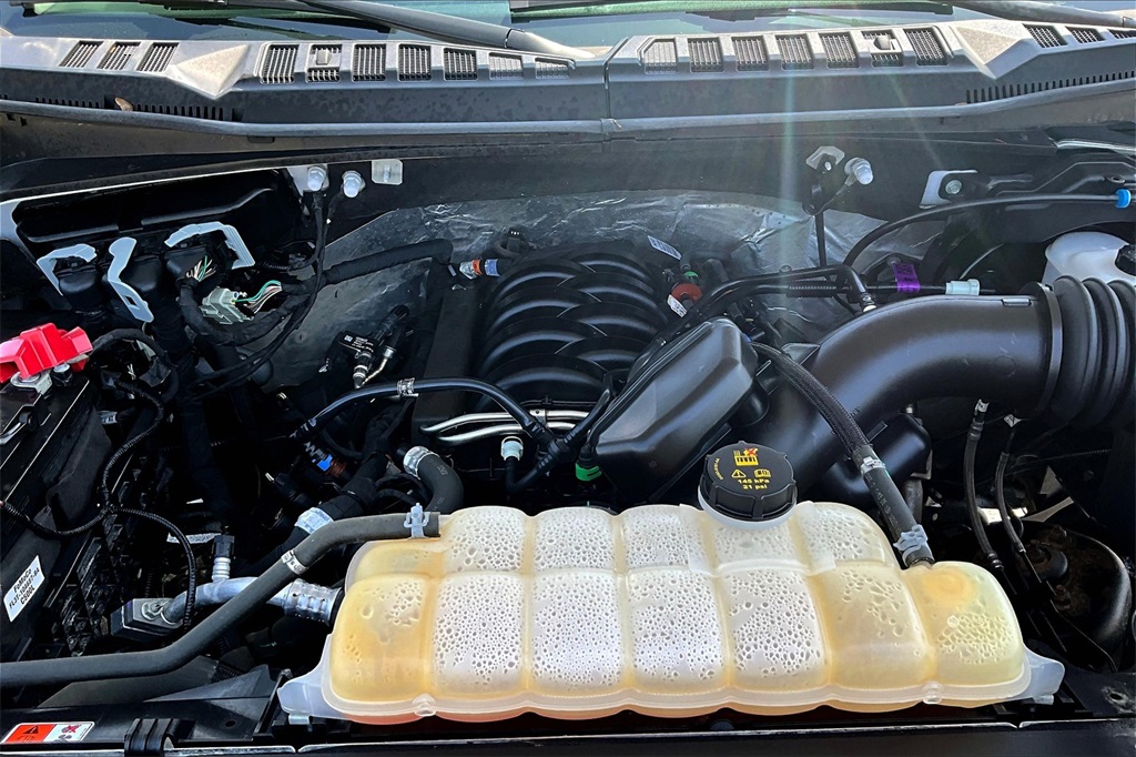 2019 Ford F-150 XL - Photo 36