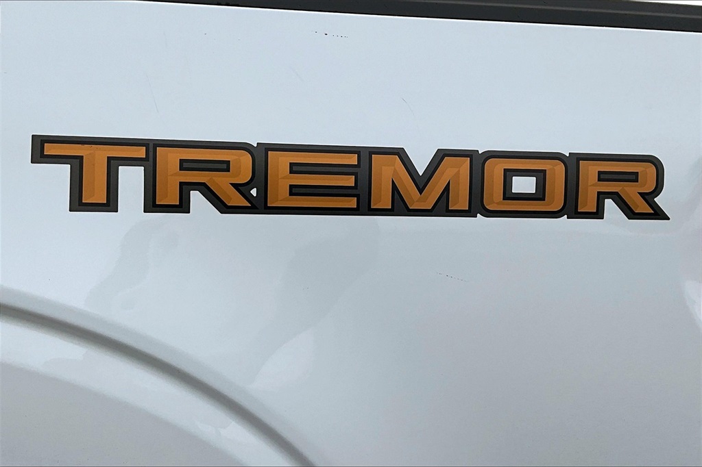 2022 Ford F-150 Tremor - Photo 28