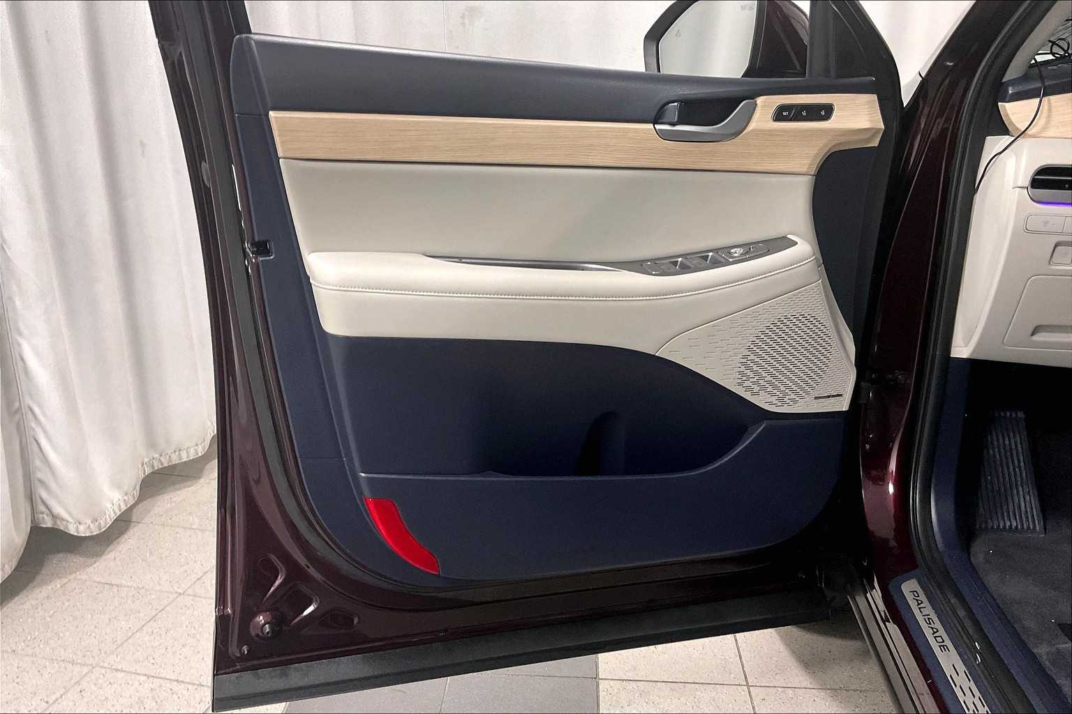 2024 Hyundai Palisade Limited - Photo 9