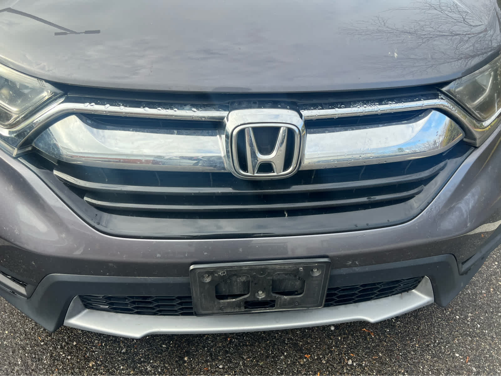 2019 Honda CR-V LX - Photo 4