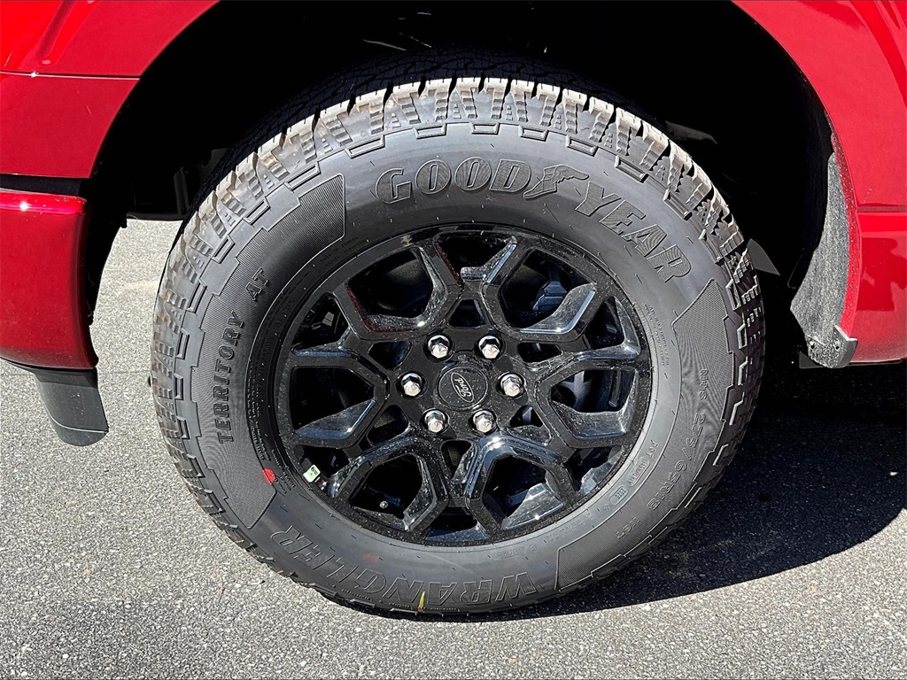 2025 Ford F-150 XLT - Photo 12
