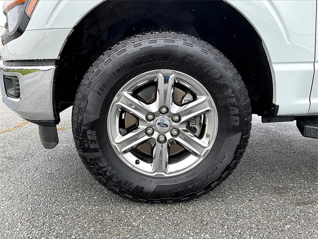 2024 Ford F-150 XLT - Photo 7