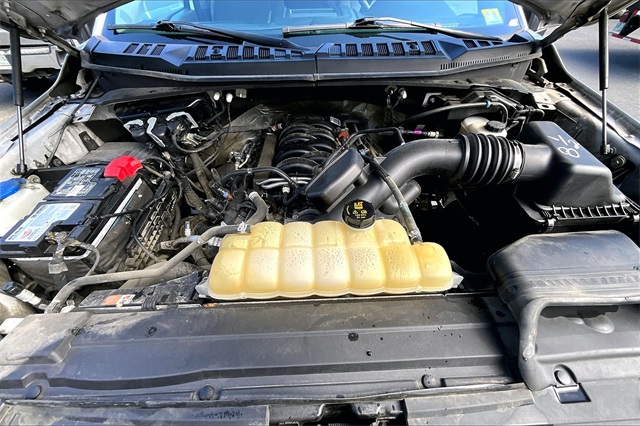 2019 Ford F-150 XLT - Photo 10