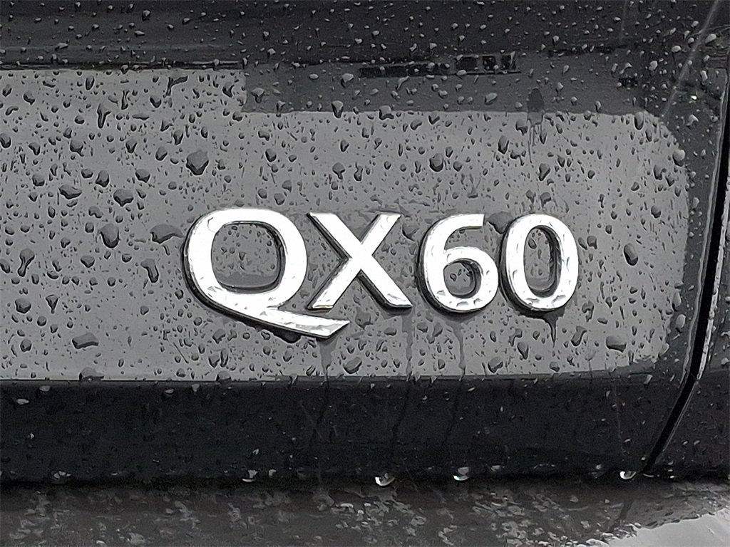 2025 INFINITI QX60 PURE - Photo 20