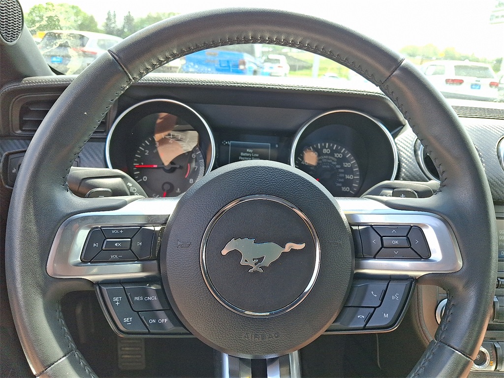 2018 Ford Mustang EcoBoost - Photo 19