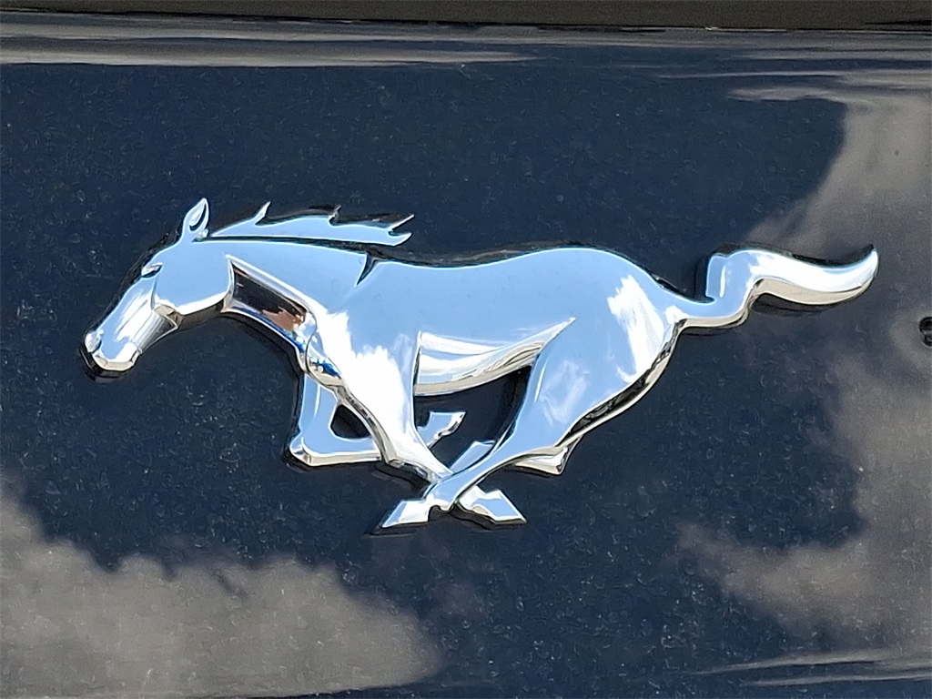 2018 Ford Mustang EcoBoost - Photo 30